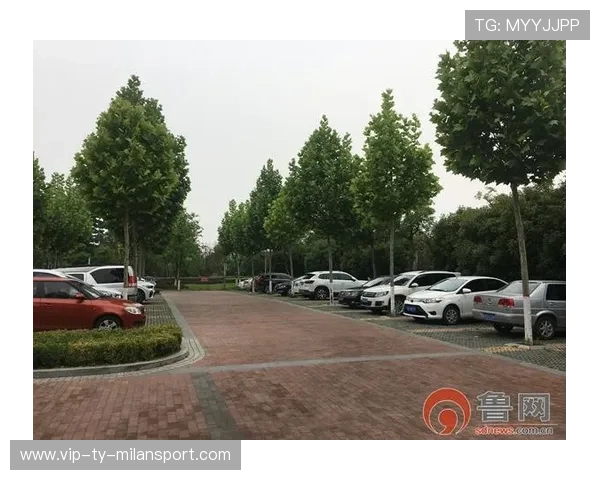 体育场馆停车优化方案缓解比赛日交通压力,体育馆停车位配比