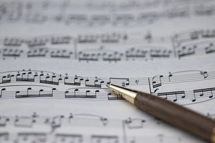 NBA球员职业规划建议与实施，nba球员怎么规划锻炼和训练