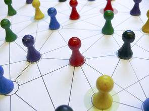 中国篮球教练员领导力培养路径，中国篮球协会篮球教练员等级